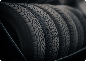 Neumáticos de marcas líderes (Fate y Michelin)